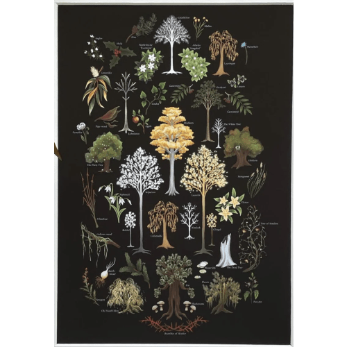A Tolkien Herbal - Inspired by the Plants of Lord of the Rings