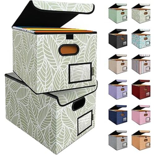 BALEINE File Organizer Box with Lid, Collapsible File Folder Organizer with Plastic Slide, Hanging File Folder Box for Office Document Storage (2 Pack, Antique Foliage)