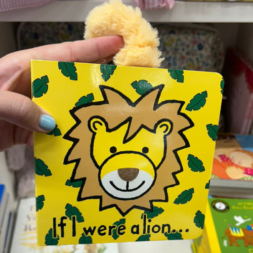 If I Were a Lion Book