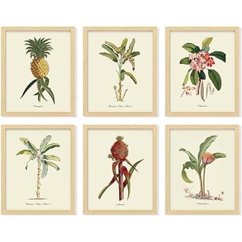 97 DECOR Vintage Botanical Wall Art - Tropical Plants Prints, Hawaiian Botanical Posters, Pineapple Pictures Banana Palm Tree Painting for Home Decoration (8x10 UNFRAMED)