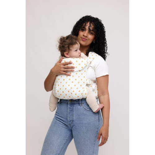 Victoria Aerial Carrier – WildBird
