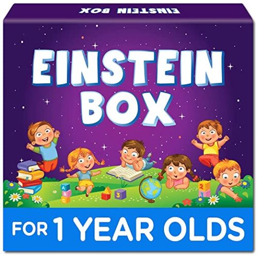 Toy: Einstein Box for 1 Year Old Boys/Girls