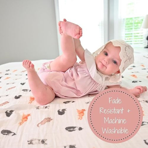 100% Cotton Muslin Swaddle Baby Blanket for Newborns and Infants | Generous 47 x 47 inches Size | Lightweight, Breathable, and Adorable Cat Prints, Here Kitty Kitty