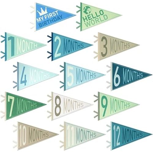 14PCS Monthly Milestone Signs Felt Pennant,1-12 Months New Signs Pennant Flag for Photos, Announcement Sign for Birthday Decor