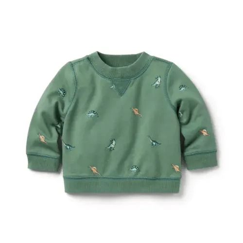 Baby Dark Sage Dinosaur Baby Dinosaur French Terry Sweatshirt by Janie and Jack