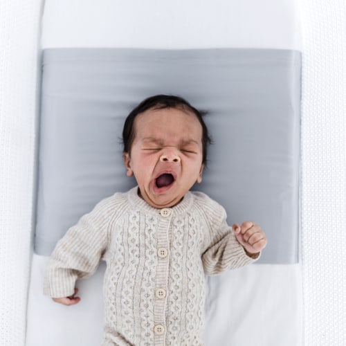 Silk Bassinet Sleeve