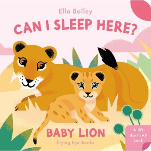 Can I Sleep Here Baby Lion - (can I Sleep Here?) By Ella Bailey (board Book)