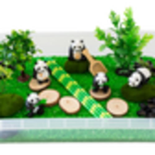 Panda Sensory Bin – Mama of Joy Sensory Play