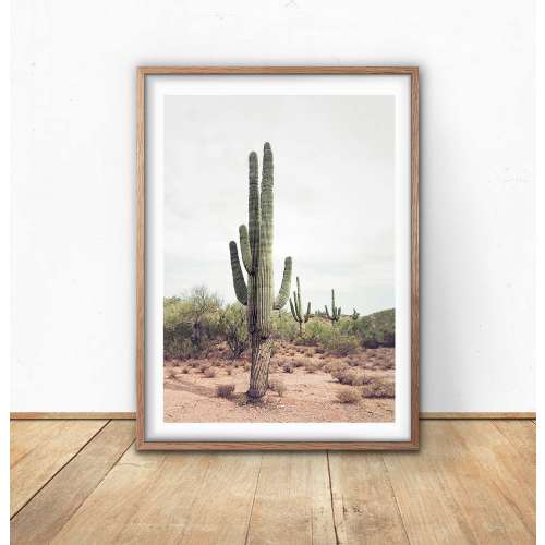 Cactus Print - Cactus Wall Art, Digital Download, Boho Decor, South western, Tall Cactus Poster, Printable Cacti, Arizona Desert, Nature Art