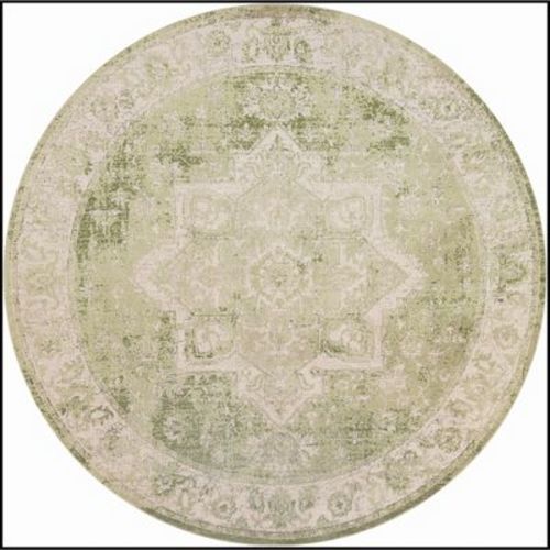 Nourison Washable Astra Vintage Medallion Indoor Flatweave Area Rug Ivory Green 5'3" X Round