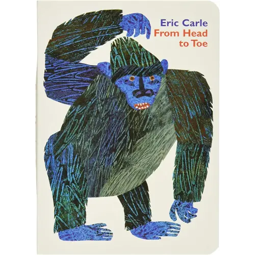 From Head to Toe Board Book