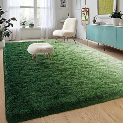 DweIke Shag Area Rug, 5x8 Ft Gradient Dark Green Rug Indoor Ultra Soft Plush Carpets for Living Room and Bedroom, Non-Slip, Plush High Pile Fuzzy Rugs for Girls Kids Room Bedroom Nursery Decor