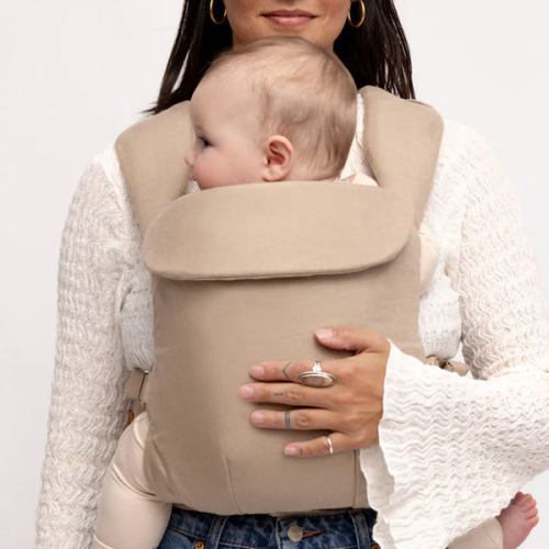 Desert Lark - Aerial Carrier – WildBird