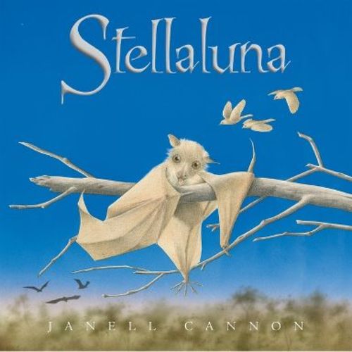Stellaluna 25th Anniversary Edition - by Janell Cannon (Hardcover)