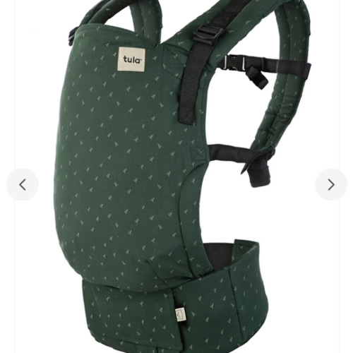 Free-to-Grow Ergonomic Baby Carrier: Seedling | Baby Tula US