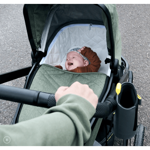 Veer Bassinet