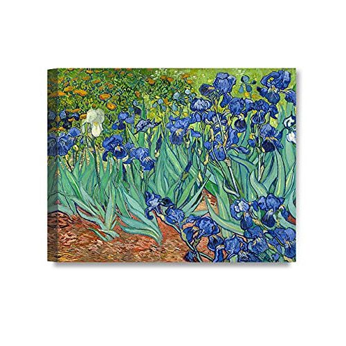 DECORARTS - Irises in the Garden, Vincent Van Gogh Art Reproduction. Giclee Canvas Prints Wall Art for Home Decor 30x24