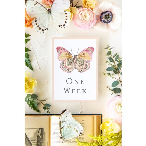Baby Milestone Cards - Butterflies — Catherine Cartie