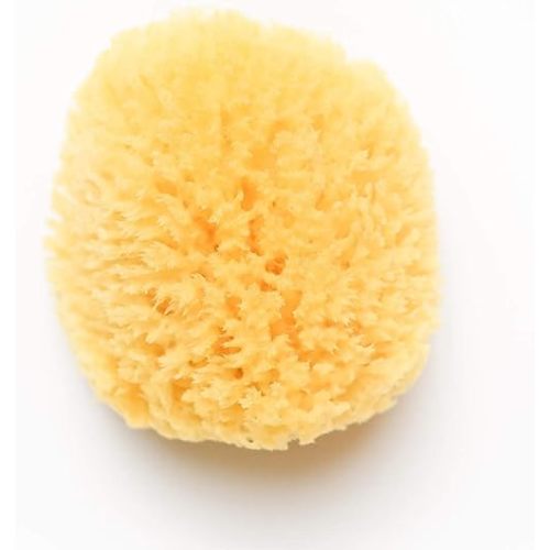 Kyte Baby Natural Sea Sponge, 4 to 5 Inches