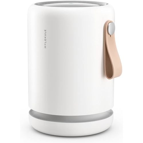 Molekule Air Mini+ | Air Purifier for Small Home Rooms up to 250 sq. ft. with PECO-HEPA Tri-Power Filter for Mold, Smoke, Dust, Bacteria, Viruses & Pollutants for Clean Air - White, Alexa-Compatible