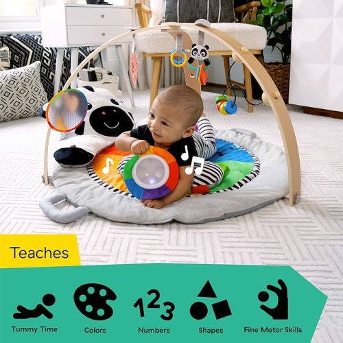 Baby Einstein Zen's Activity Milestones Plush Gym with Wooden Bar, for Infant to Toddler, 0-12 Months, Machine Washable