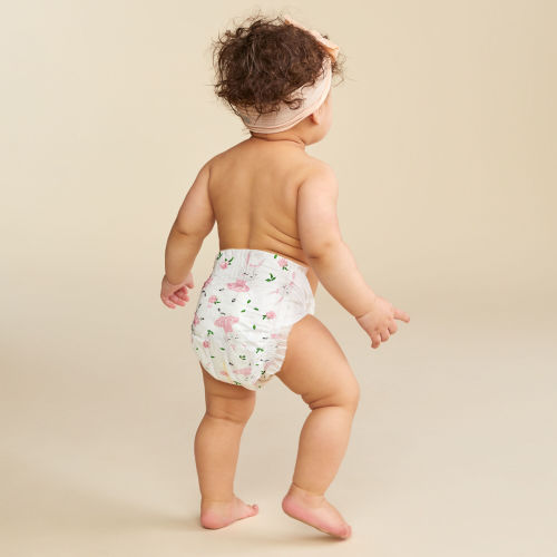 SIZE 1 - Honest Wetness Indicator Diapers - Plant-Based & Fragrance-Free | Honest