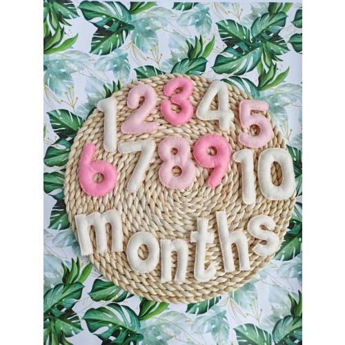 Felt milestone numbers for baby girls, Pink milestone sign for newborn, New mom gift