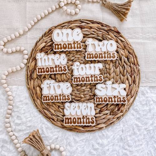 Baby Milestone Markers - 3D Monthly Plaque - Wood Age Signs - Newborn Shower Gift -Engraved Wooden Photo Prop - Babys First Year