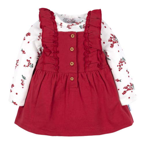 Gerber Baby and Toddler Girl Jumper & Top Set, 2-Piece, 0/3M - 18M