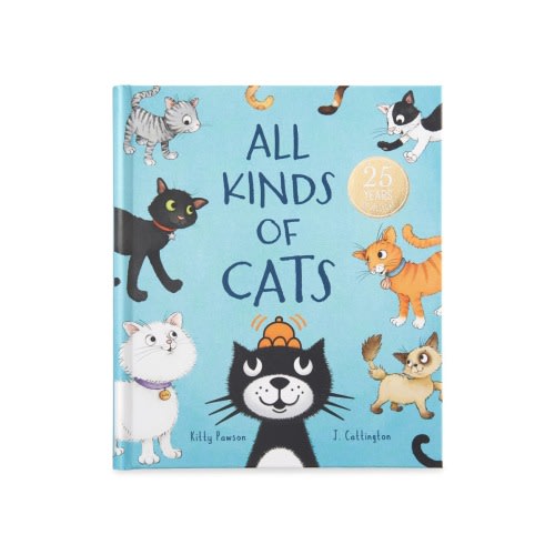 'All Kinds of Cats' Board Book