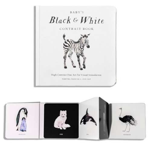Baby's Black and White Contrast Book: High-Contrast Art for Visual Stimulation at Tummy Time (Our Little Adventures Series)