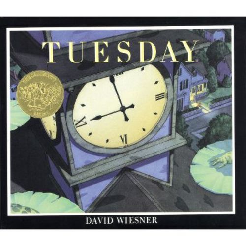 Tuesday - by David Wiesner (Paperback)