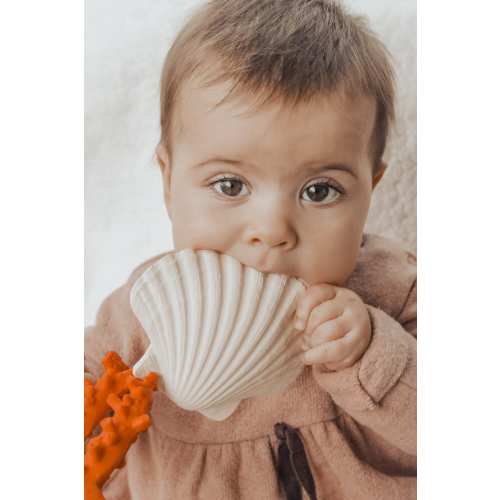 Shell Teether Natural Rubber | Baby Toy | Biodegradable Teether | Sensory Toy | Gemkobaby