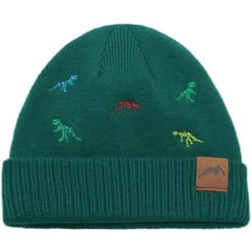 XIAOHAWANG Knit Toddler Beanies Girls Boys Cute Kids Winter Hat Infant Dinosaur Baby Beanie Hats