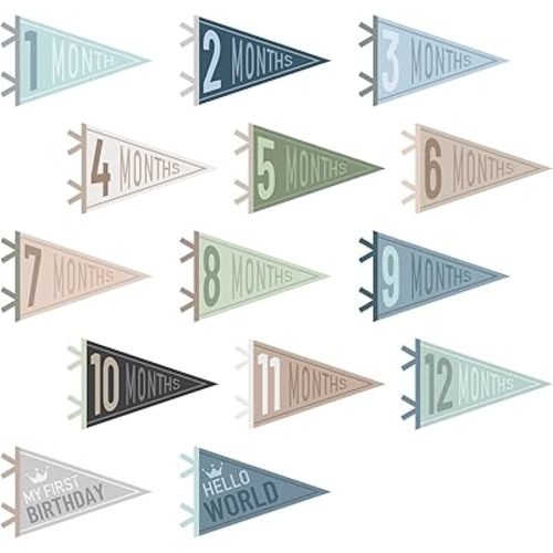 14 Pcs Baby Felt Pennant Milestone Signs Monthly Milestone Banner Flags Pennant Triangle Banner Age Milestone Flag Signs for Boy Girl Newborn Birthday Party Decor (Ocean Color)