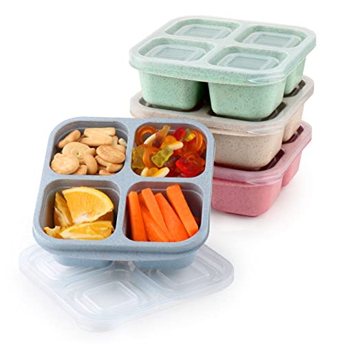 4PCS Bento Box Adult Lunch Box, Compartment Meal Prep Container for Kids,  Lunch Snack Containers with Utensils & Transparent Lids Reusable Food  Storage Snack Containers - Stackable for School, Work, and Travel