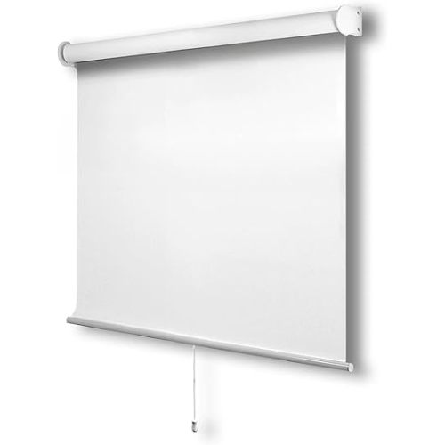 CHICOLOGY Roller Window Shades , Window Blinds , Window Shades for Home , Roller Shades , Window Treatments , Window Blinds Cordless , Door Blinds , Byssus White (Blackout), 21"W X 72"H