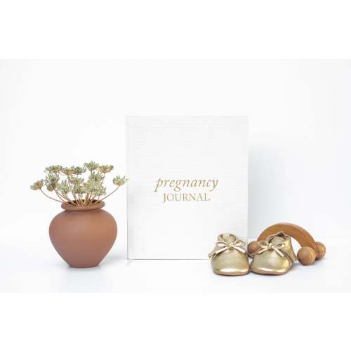 Pregnancy Journal