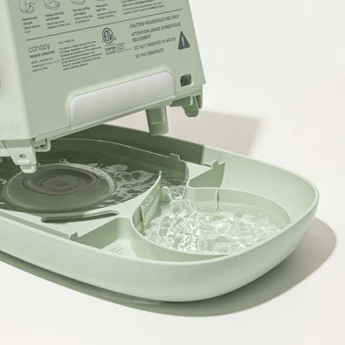 Canopy Humidifier + filter subscription | Jade Green