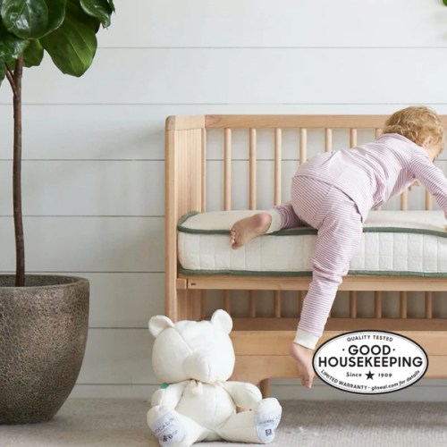 Best Affordable & Organic Crib Mattress | Avocado Green Mattress