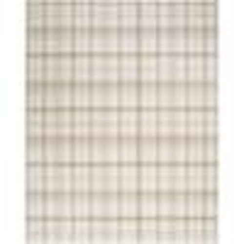 Nourison Grafix Ivory Beige 8 ft. x 10 ft. Plaid Contemporary Area Rug 935649
