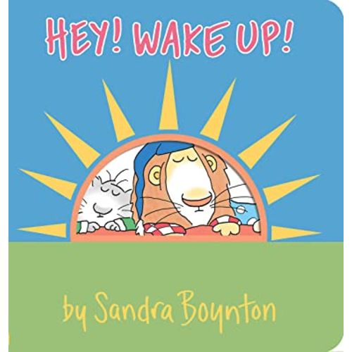 Hey! Wake Up! (Boynton on Board)