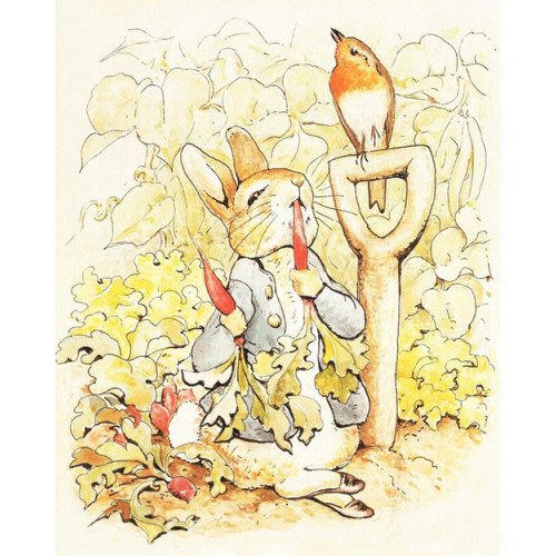 Peter Eats Carrots in the Garden by Beatrix Potter | Fine Art Print