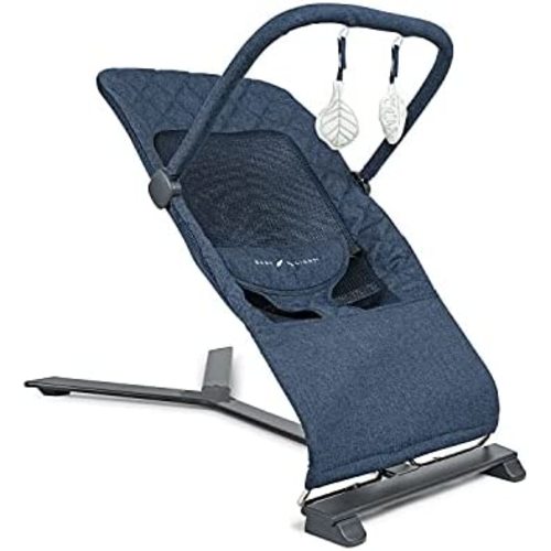 Baby Delight Alpine Deluxe Portable Bouncer, Infant, 0 – 6 Months, Quilted Indigo