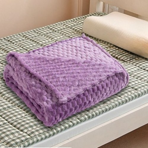 Edgergery Purple Fuzzy Blanket or Fluffy Blanket for Baby,Soft Warm Cozy Coral Fleece Toddler,Infant or Newborn Receiving Blanket for Crib, Stroller,Travel,Decorative,39.4×59.1 inch