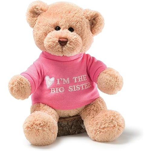 GUND “I’m The Big Sister” Message Bear with Pink T-Shirt, Teddy Bear Stuffed Animal for Ages 1 and Up, Brown, 12”