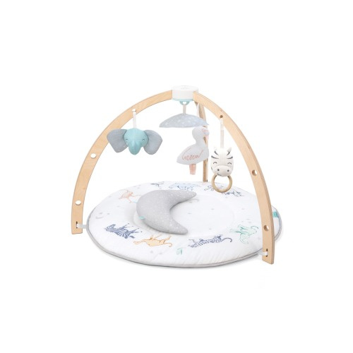 aden + anais Play & Discover Baby Activity Gym, Rising Start
