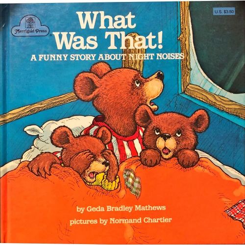 WHAT WAS THAT! A Funny Story About Night Noises