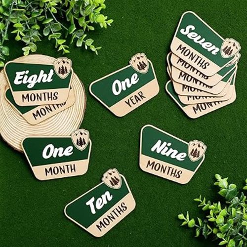 Huray Rayho 12 Pcs National Park Baby Monthly Photo Props Cards Rustic Wooden Baby Months Signs Adventure Theme Newborn Photography Props for Baby Shower Mountain Hiking Lovers Pregnancy Gift