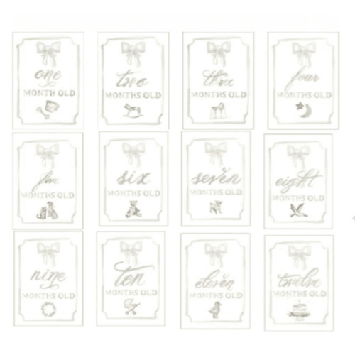 Monthly Milestone Card Set | Posh Tots Children's Boutique